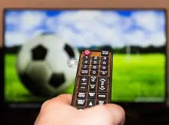 卡瓦哈尔,安帅球员调,度能力独树,澳门新葡京赌场网址,澳门新葡京赌场网址官网,澳门新葡京赌场网址H5官网